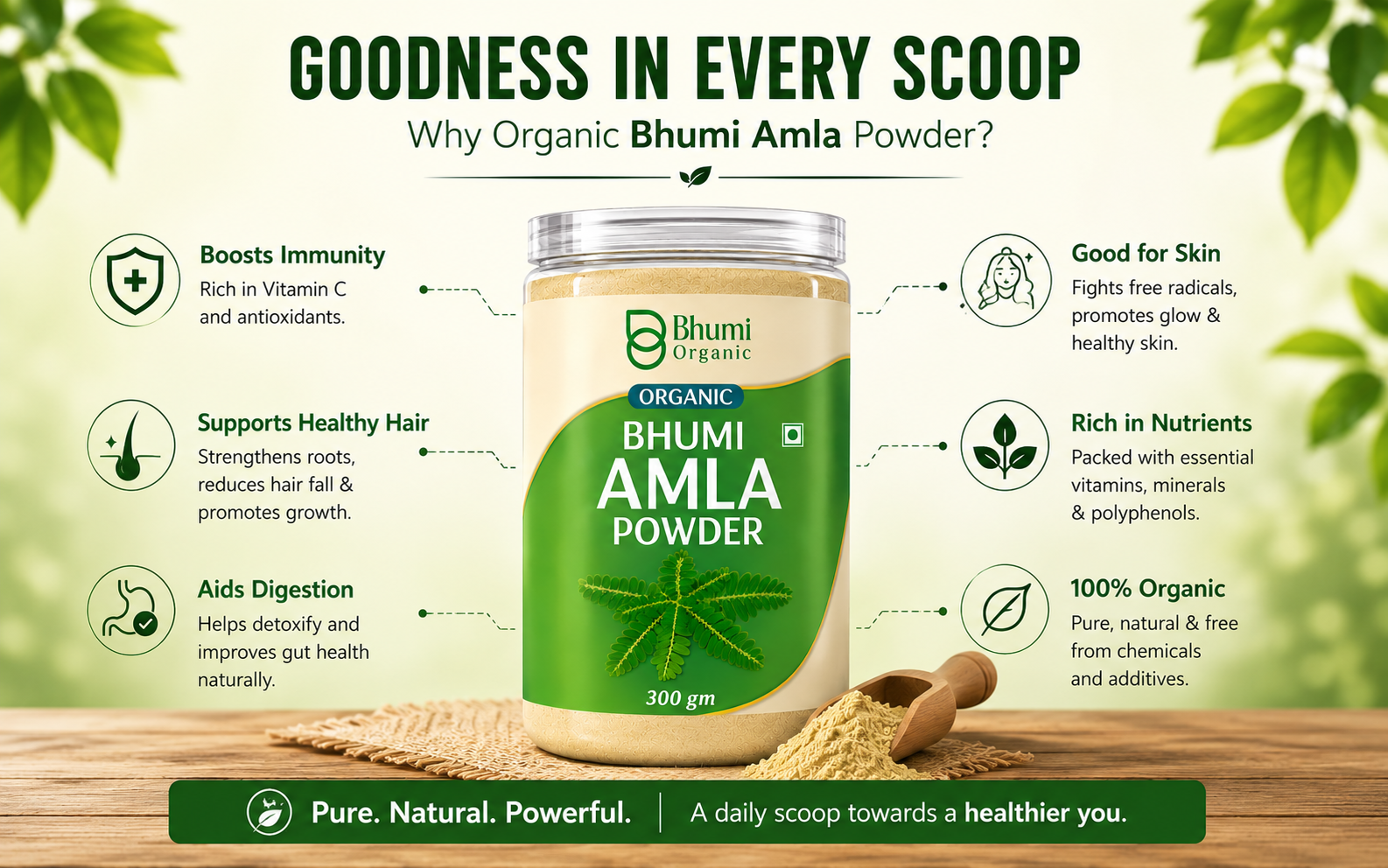 Bhumi Amla Powder For Eating 300g