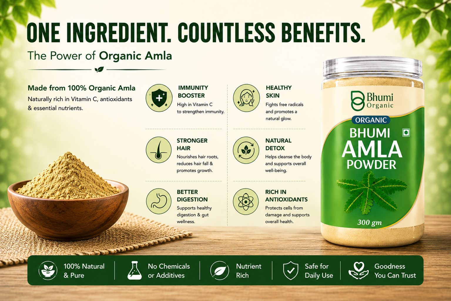 Bhumi Amla Powder For Eating 300g