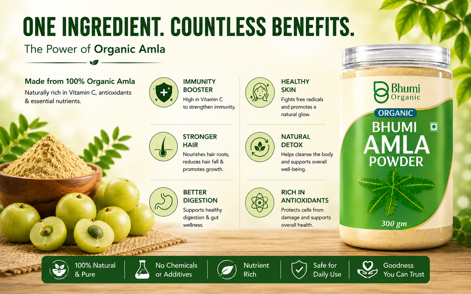 Bhumi Amla Powder For Eating 300g