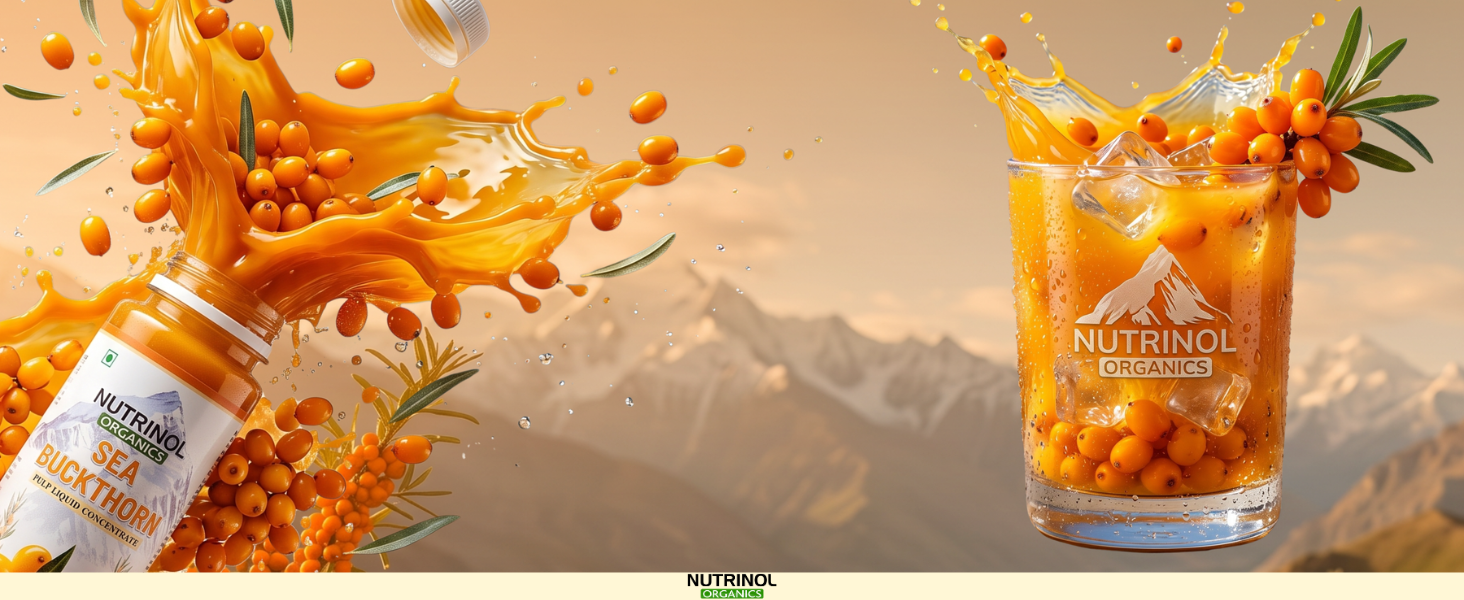 Sea Buckthorn Juice 300ml Bottle for Adults