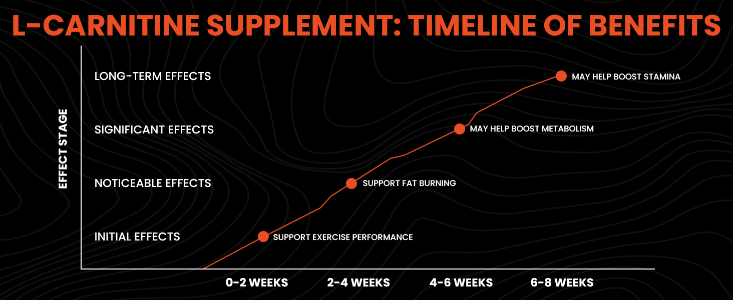 Carbamide Forte L-Carnitine L-Tartrate 1000mg Pre Workout Supplement - 120 Veg Capsules & Night & Day Fat Burner for Men & Women | 24-Hour Metabolic Support & Weight Loss Support - 60 Capsules Each