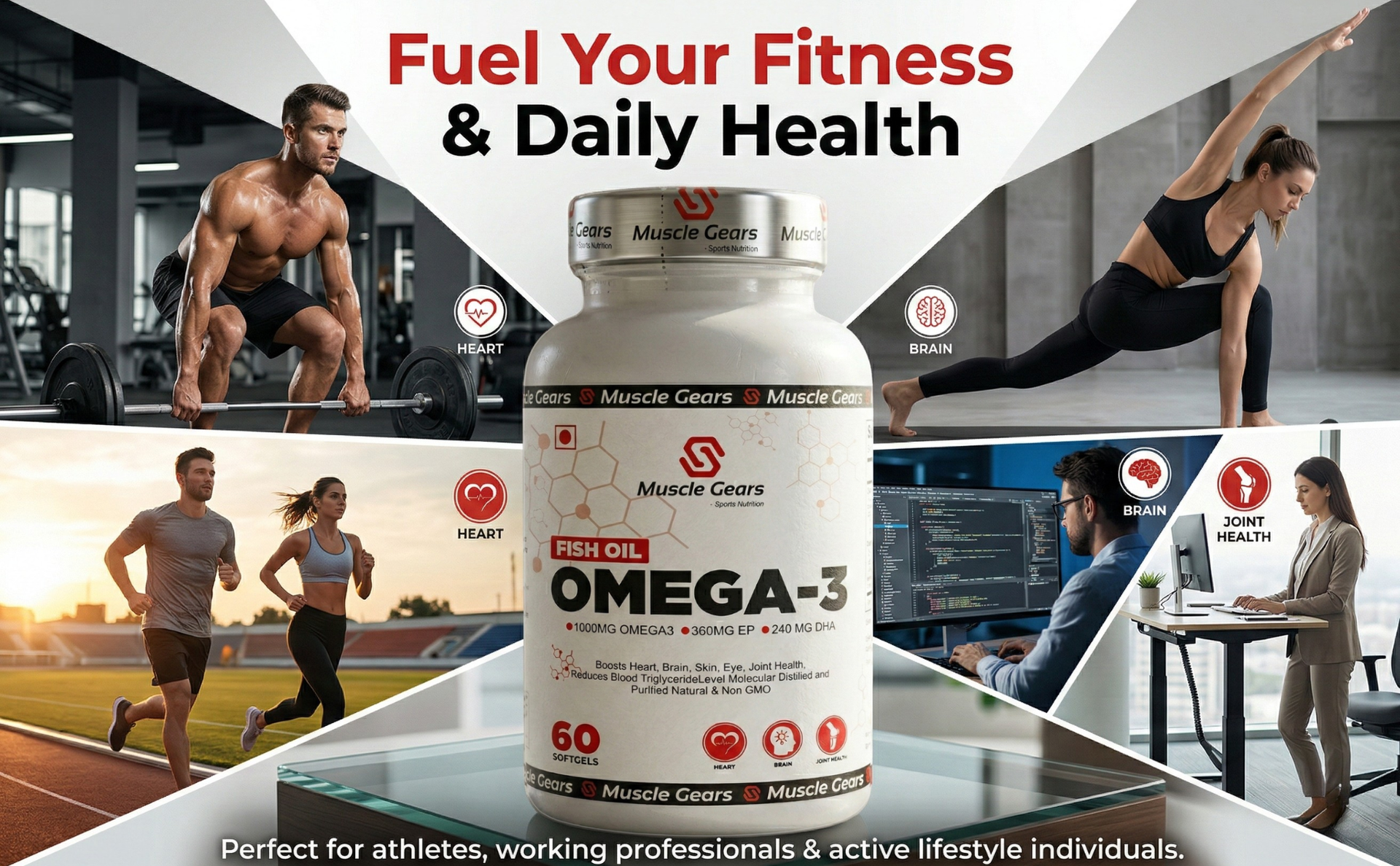 Muscle Gears Omega-3 Fish Oil 1000mg | 360mg EPA & 240mg DHA | Heart, Brain, Eye, Skin & Joint Health | Molecularly Distilled | Non-GMO | For Men & Women | 60 Softgels