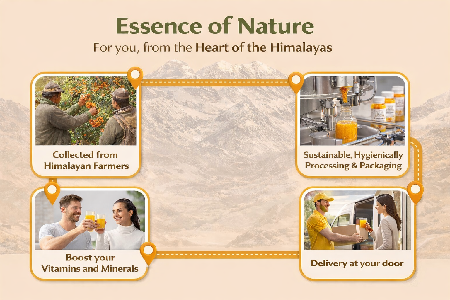Himalayan Sea Buckthorn Pulp Concentrate 350 ml | Rich in Omega 3, 6, 7 & 9 | Natural Source of Vitamins & Minerals | Supports Overall Wellness.
