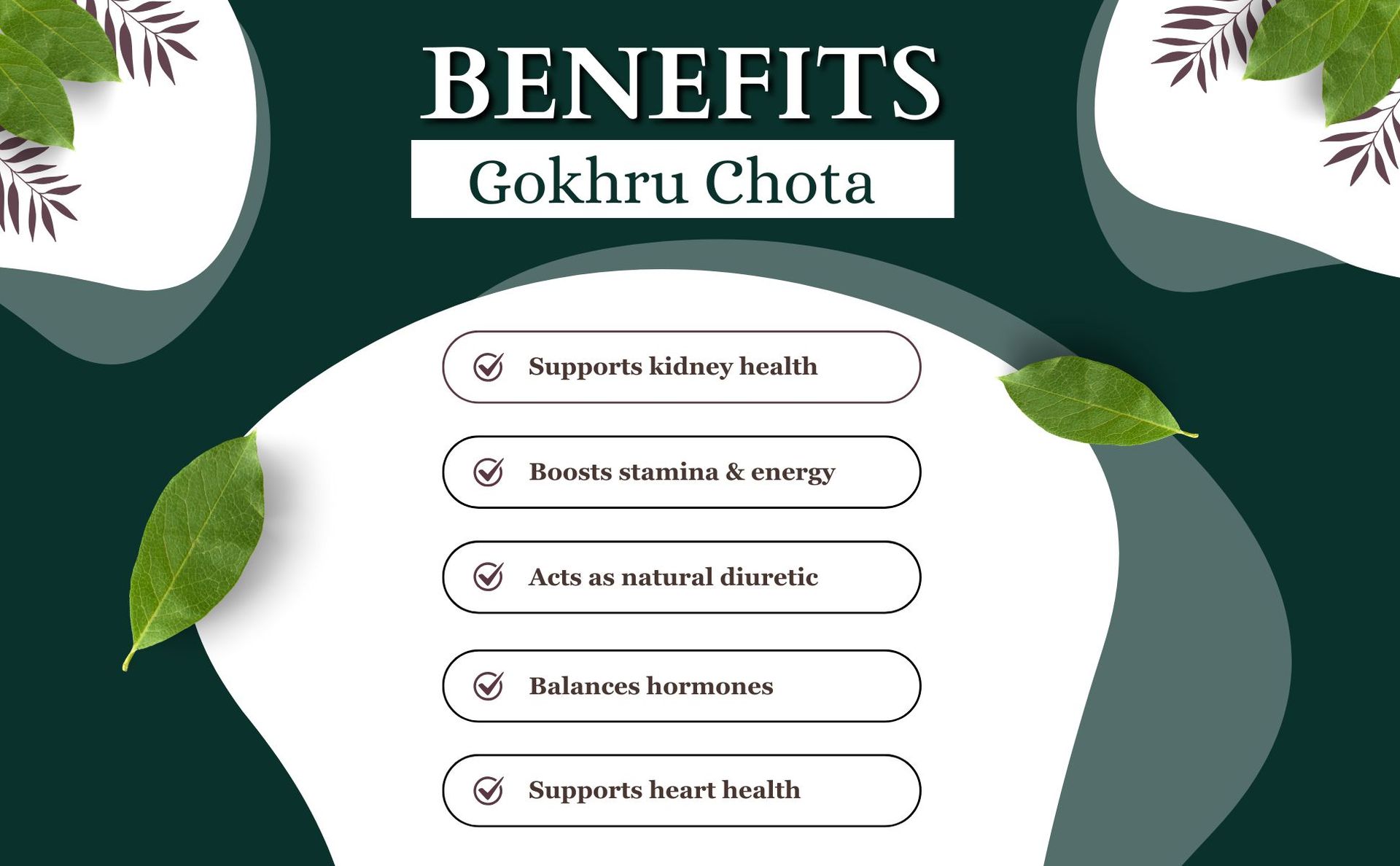 Brijbooti Gokhru Chota 200 gram - Tribulus Terrestris Seeds - Small Caltrops - Pure & Natural