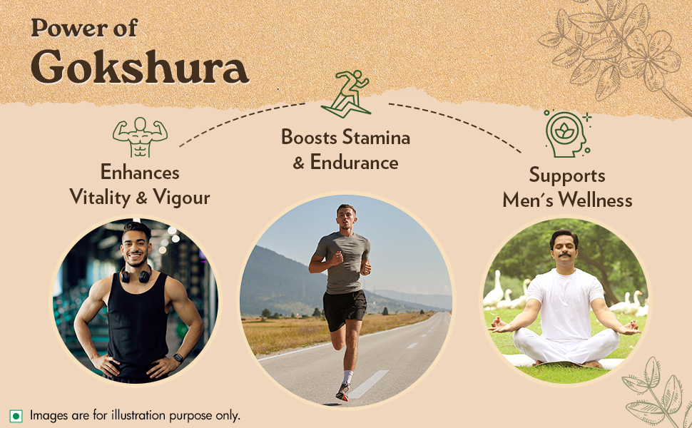 A TATA Product - Organic India Pure Gokshura 60 Capsules,(400mg), Enhance Endurance, Promotes Vitality, Support Men's Wellness & Boost Stamina, GMP & NPOP Certified