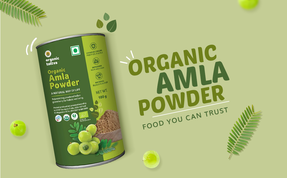 Organic Tattva Organic Amla Powder For Hair Growth – Indian Gooseberry Amla Powder For Eating Rich in Vitamin C, Calcium & Iron, Supports Immunity & Metabolism, Natural Herbal Supplement, 100g