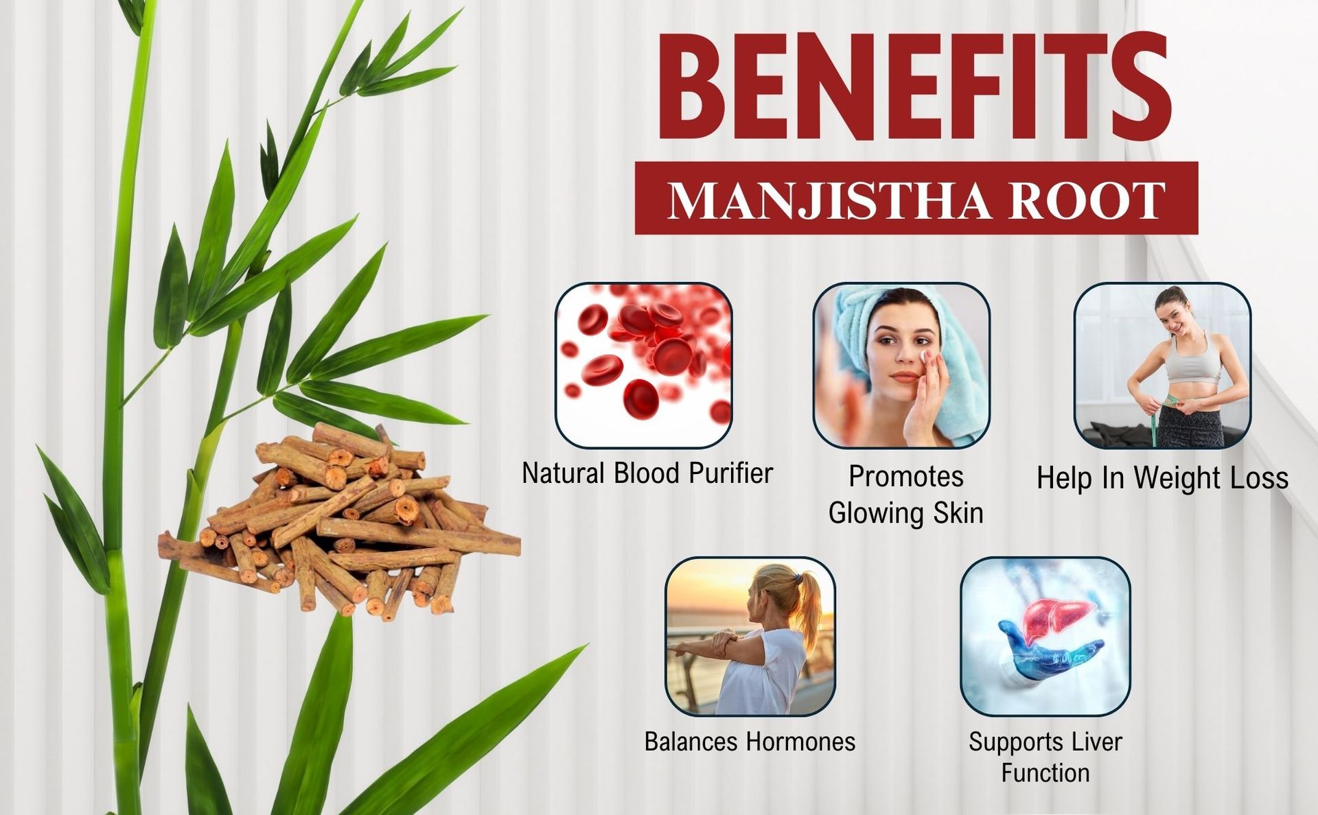 Brijbooti Organic Manjistha (100 gm) | Rubia Cordifolia | Manjishtha Root | Manjishta | Manjishta | Manjista