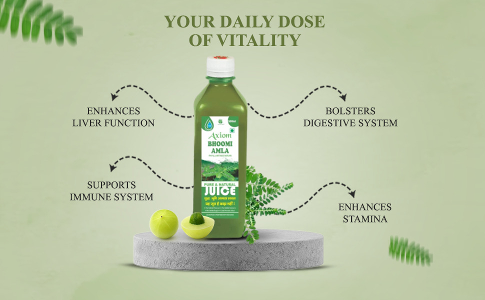 Axiom Ayurveda Bhoomi Amla Juice - 500 ml | Natural liver detoxifier | Strengthens the digestive system | Rich Supplement with Pure Bhumi Amla Herbs