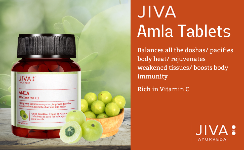 Jiva Amla Tablets 500mg 240 Tablets | Herbs Used, Rich In Vitamin C | Rich In Antioxidants | Improves Digestion | Enhances Vision - 120 Tablet (Pack of 2)