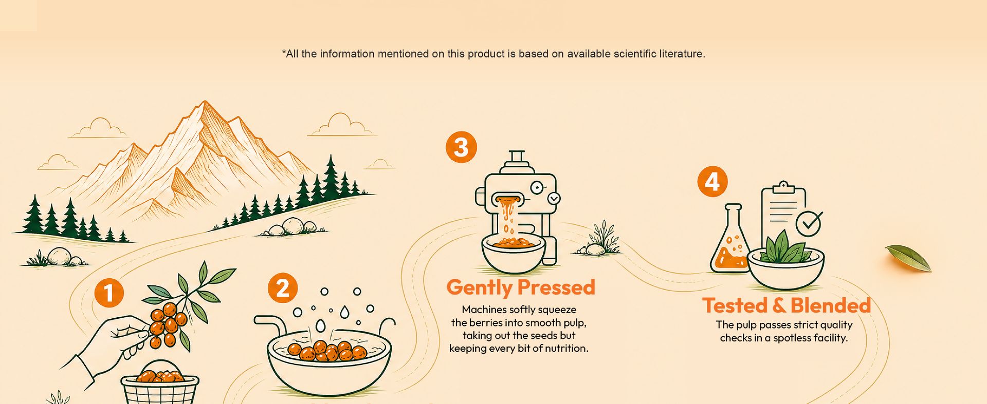Natural Elevate Pure Himalayan Sea Buckthorn Juice 600ml | Cold-Pressed Sea Buckthorn Pulp Concentrate | Rich in Omega 3, 6, 7 & 9 + Vitamin C | Antioxidant-Rich Nutraceutical | Supports Immunity, Skin, Heart & Gut Health | No Added Sugar | Lab Tested