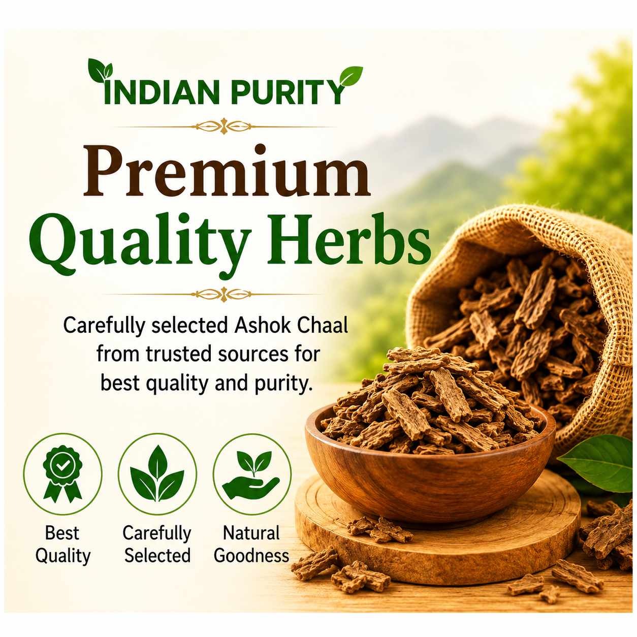 IndianPurity Ashoka Chaal (100g) | Raw & Dried Saraca Asoca Bark | Pure Ashoka ki Chhaal for Women's Wellness & Hormonal Balance | 100% Natural & Authentic Ayurvedic Herb