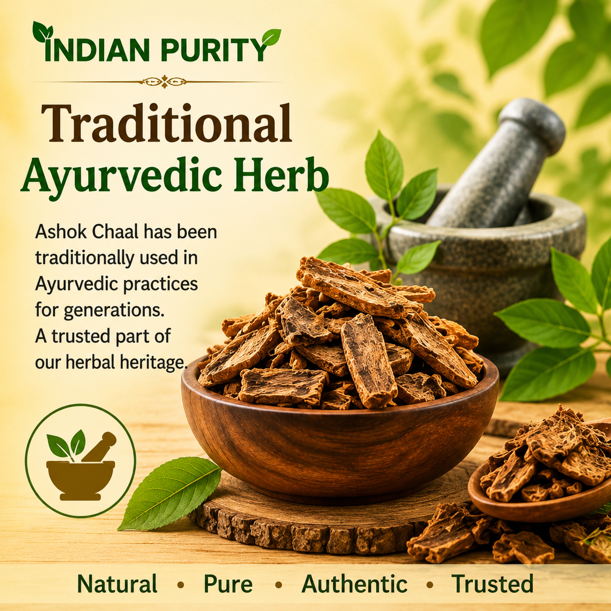 IndianPurity Ashoka Chaal (100g) | Raw & Dried Saraca Asoca Bark | Pure Ashoka ki Chhaal for Women's Wellness & Hormonal Balance | 100% Natural & Authentic Ayurvedic Herb