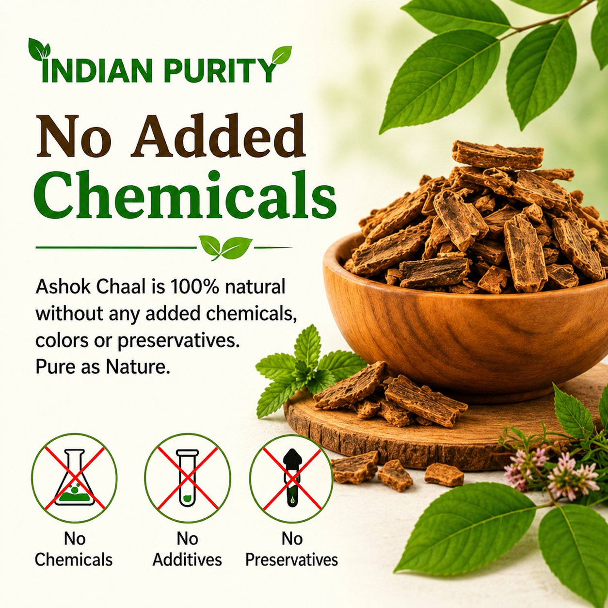 IndianPurity Ashoka Chaal (100g) | Raw & Dried Saraca Asoca Bark | Pure Ashoka ki Chhaal for Women's Wellness & Hormonal Balance | 100% Natural & Authentic Ayurvedic Herb