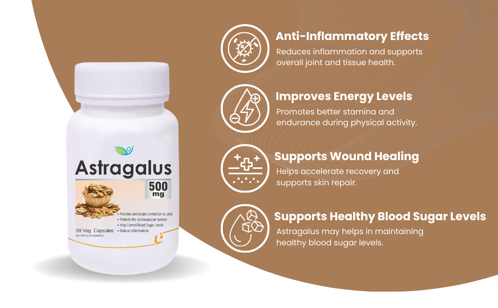 Biotrex Nutraceuticals Astragalus 500mg Supplement | Heart & Kidney Health | Immunity Booster & Adaptogen | Antioxidant | Enhances Strength & Atheletic Performance | 60 Veg Capsules. (Pack of 2)