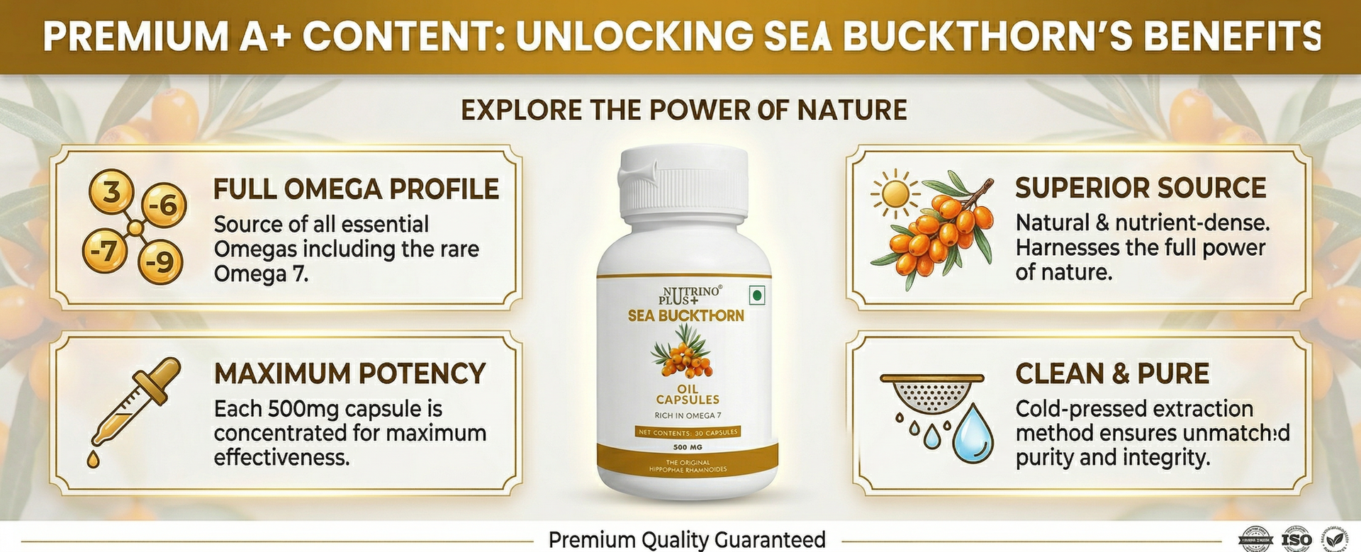 Sea Buckthorn Oil Capsules 500mg | Prostate Health & Urinary Support for Men | Omega 3 6 7 9 | Hippophae Rhamnoides Extract | Anti-Inflammatory Supplement | 30 Softgels