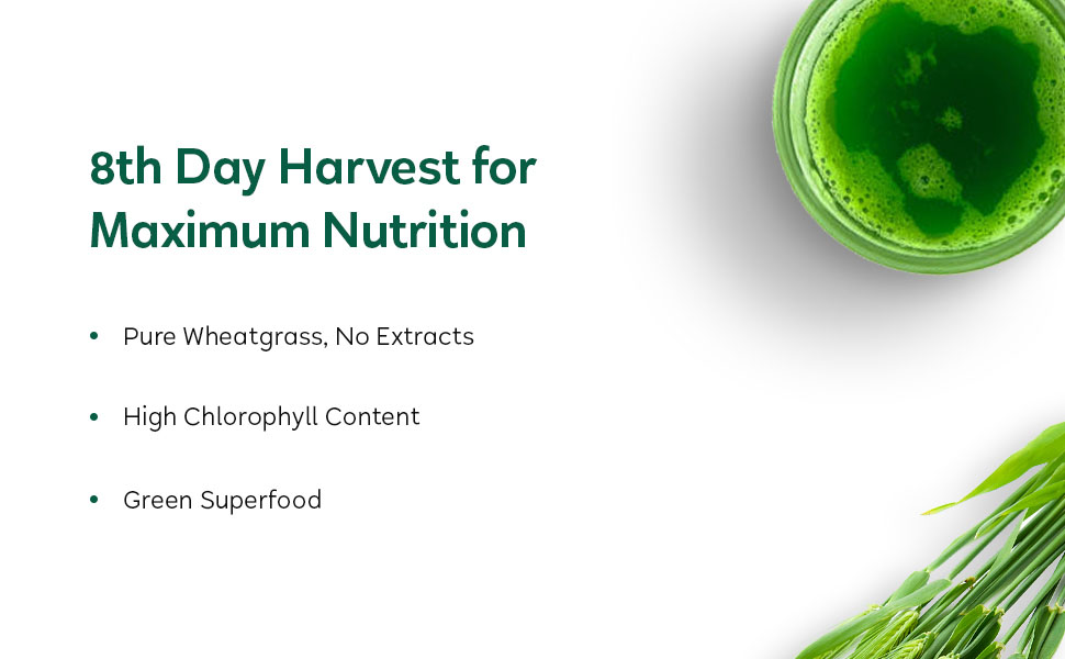 Kapiva Wheatgrass Juice 1L - Help's to Detoxify the Liver, Cleanse the Digestive System, Boost Metabolism & Purify Blood