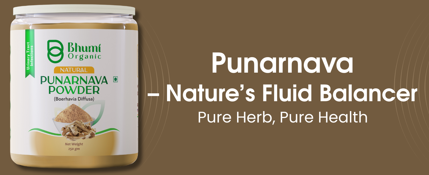 Ayurveda Punarnava Powder 340 gm