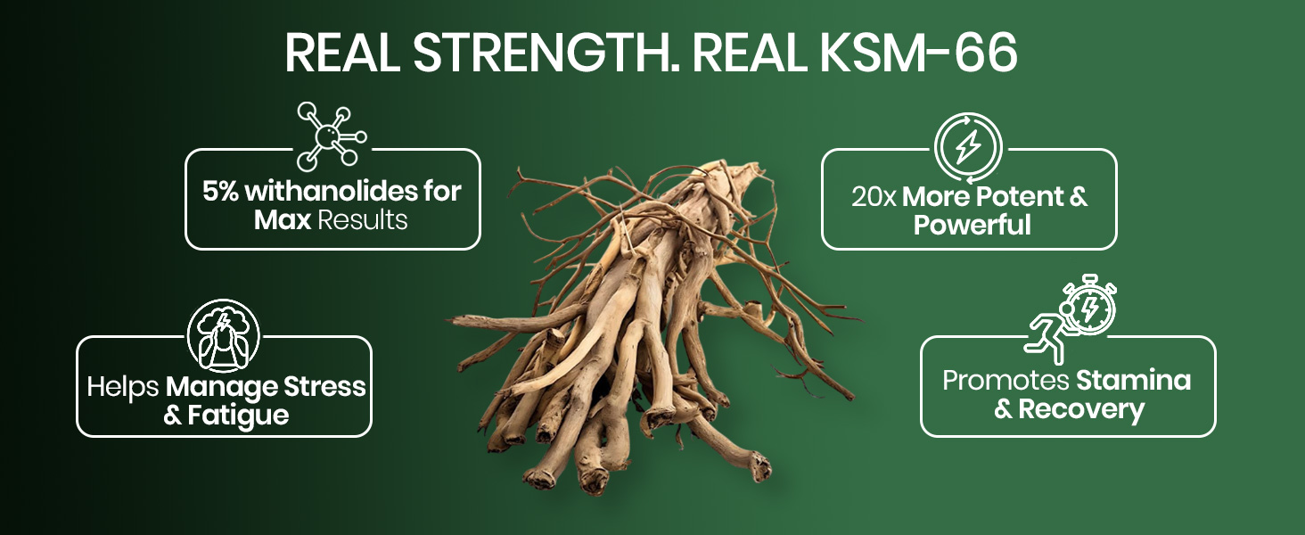 Vlado's Himalayan Organics Ashwagandha KSM66 500mg - 10 Tablet I Ashwagandha KSM66 Capsules for Men & Women | Clinically Proven I 5% Withanolides for Max Results - 100% Pure Root Extract | Stress Relief, Energy & Recovery Support