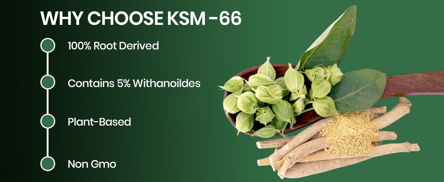 Vlado's Himalayan Organics Ashwagandha KSM66 500mg - 10 Tablet I Ashwagandha KSM66 Capsules for Men & Women | Clinically Proven I 5% Withanolides for Max Results - 100% Pure Root Extract | Stress Relief, Energy & Recovery Support