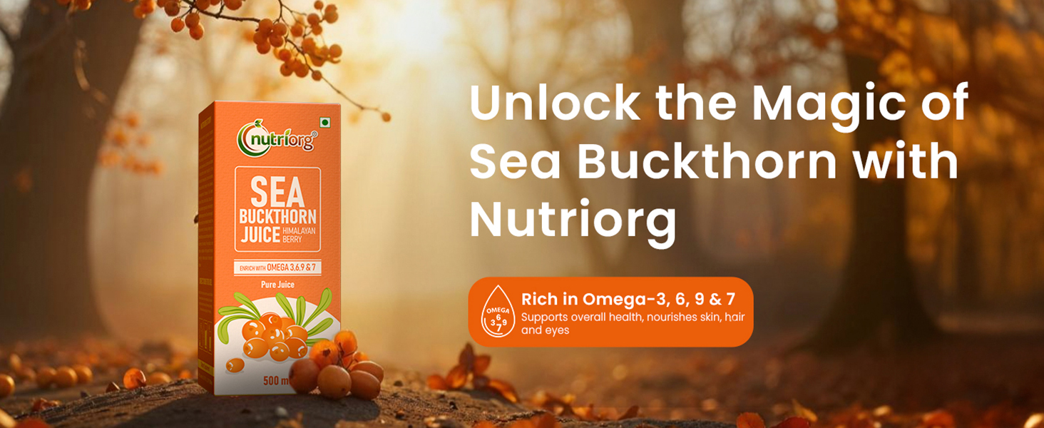 Nutriorg Pure Sea Buckthorn Juice Concentrate Pulp 1L (500ml*2) | Cold Pressed | 100% Himalayan Berry Pulp | Omega 3,6,7,9 & Vitamin C | Best for Immunity & Antioxidant Rich | Makes 50 Glasses | No Added Sugar & Colour