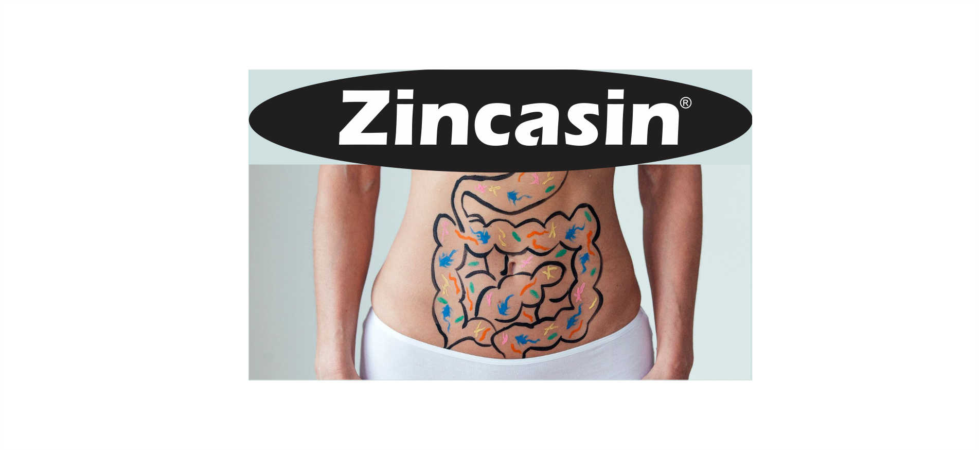 Zincasin (LeeWell) Chewable Zinc Carnosine | Leaky gut repair supplement | Strengthen Digestive system, stomach immunity, Taste buds function, Neurotransmitter Support | Healthy IBS, IBD, Gastric Ulcer Support - 60 sugar-free
