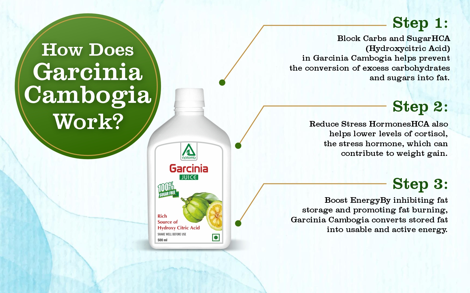 Aplomb Garcinia Cambogia Juice (500 ml) | Natural Weight Management Drink | Metabolism Enhancer & Digestive Support | No Added Sugar Herbal Wellness Juice | Daily Fat-Burning & Detox Support