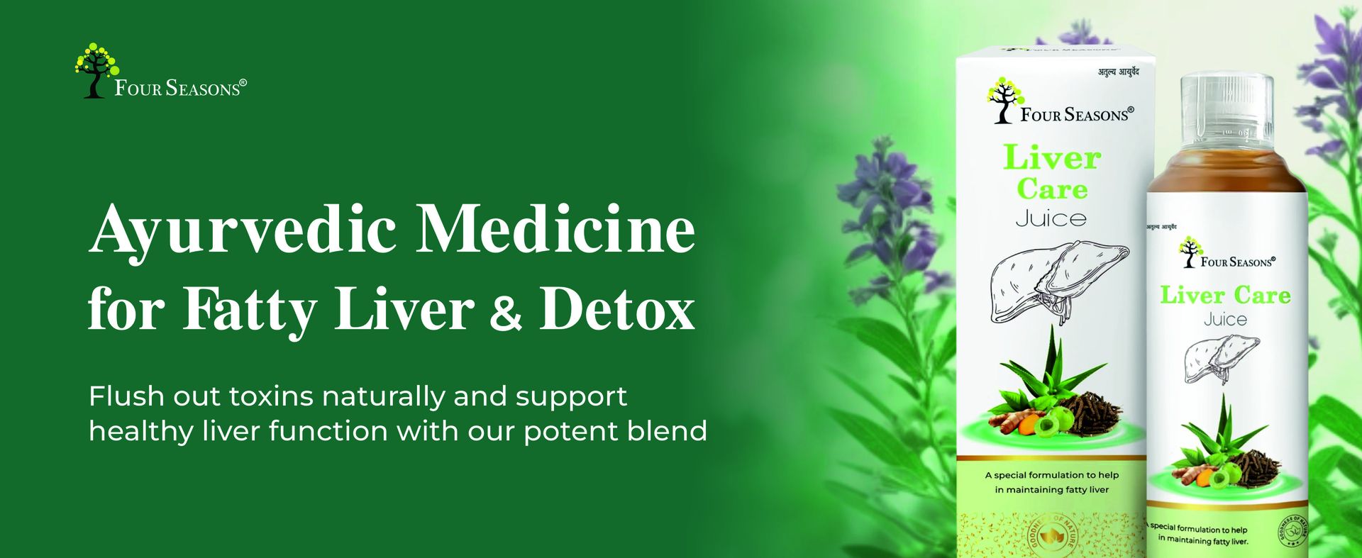 Four Seasons Pure Ayurvedic Liver Detox & Care Juice – Natural Fatty Liver Support Tonic with Bhumi Amla, Kalmegh & Punarnava – 100% Herbal & Sugar-Free 1L (Pack of 1)