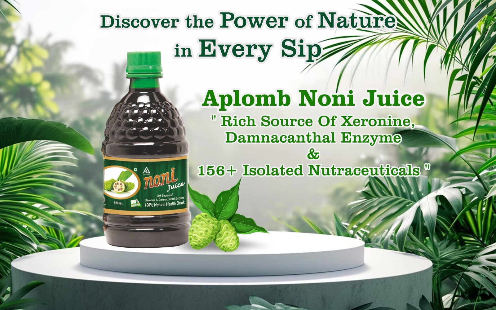Aplomb Noni Juice (500 ml) | Antioxidant-Rich Herbal Juice for Immunity Boost | Natural Body Detoxifier & Metabolism Support Drink | Ayurvedic Wellness Juice for Daily Health & Vitality
