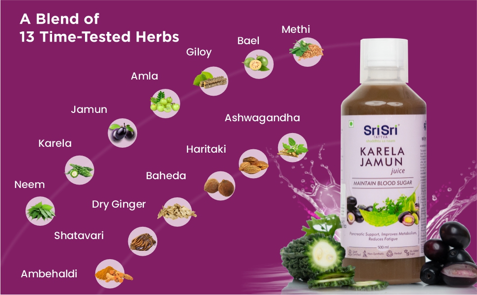 Sri Sri Tattva Karela Jamun Juice - 500 ml | Metabolic & Digestive Wellness Support | With Karela, Jamun, Amla, Neem & Giloy; No Added Sugar | (500 ml x Pack of 2)