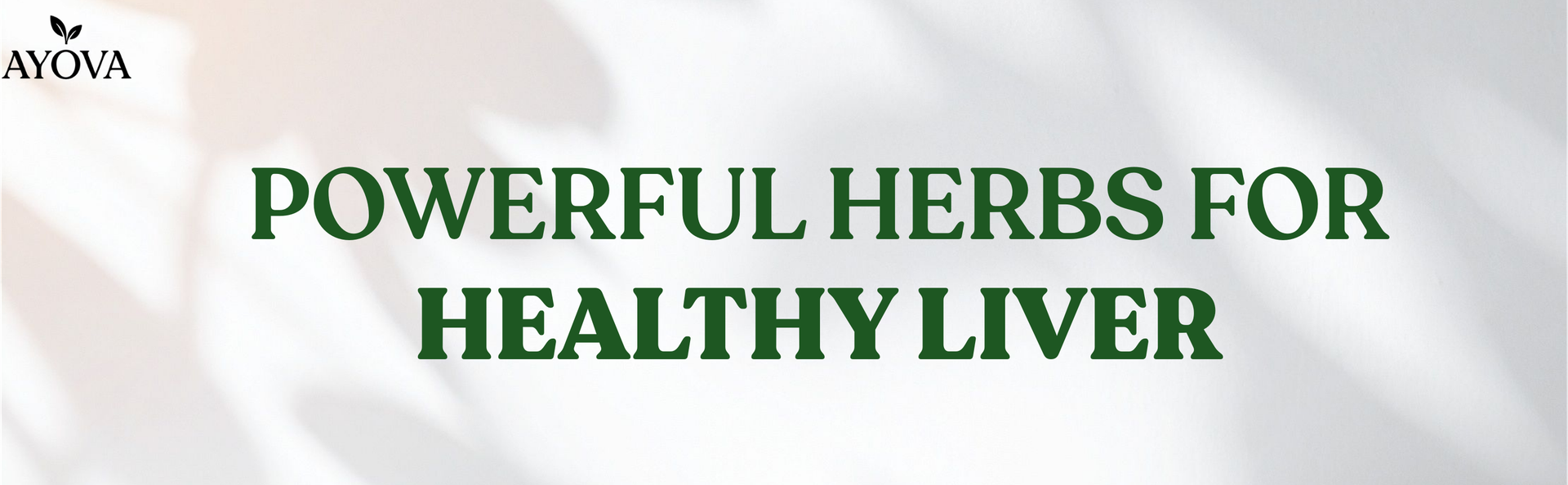 Ayurvedic Liver Care Syrup - 500ml | Herbal Liver Detox Supplement | Liver Health & Liver Support Tonic | Fatty Liver Care | Natural Wellness Supplement | Pack of 2