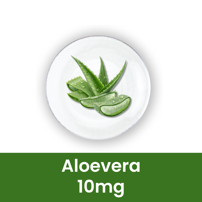 Ayurvedic Liver Care Syrup - 500ml | Herbal Liver Detox Supplement | Liver Health & Liver Support Tonic | Fatty Liver Care | Natural Wellness Supplement | Pack of 2