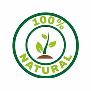 Ajwa Seeds Powder - 100g | Supports Heart Health & Cholesterol Levels | Enhances Metabolic & Cognitive Well-Being | Vegan, Gluten-Free, Non-GMO