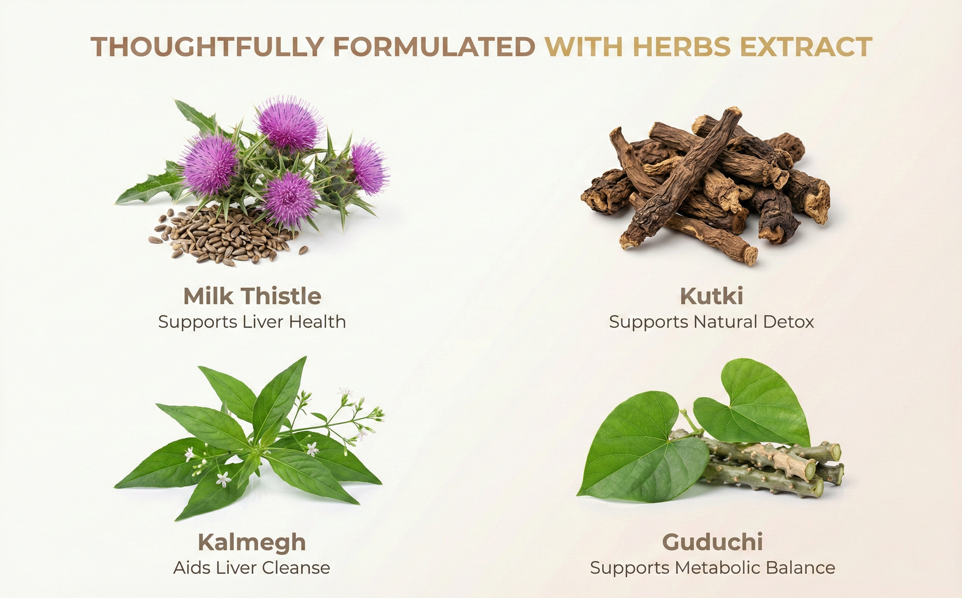 Liver Detox With Milk Thistle, Kutki, Kalmegh, Guduchi, Triphala, Turmeric | Liver Cleanse, Fatty Liver & Antioxidant Support | 10:1 Concentrated Herbal Extracts | 60 Veg Capsules