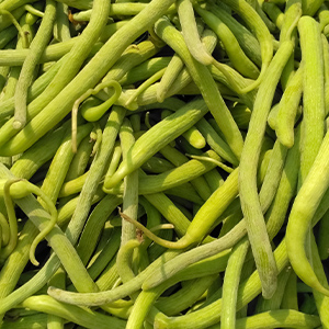 Hamdard Sharbat Bazoori Motadil | 500 ML | Supports Kidney and Liver Health | Helps Manage Burning Sensation in Bladder | Herbal Remedy | Unani Formulation | All-natural | Pack of 2