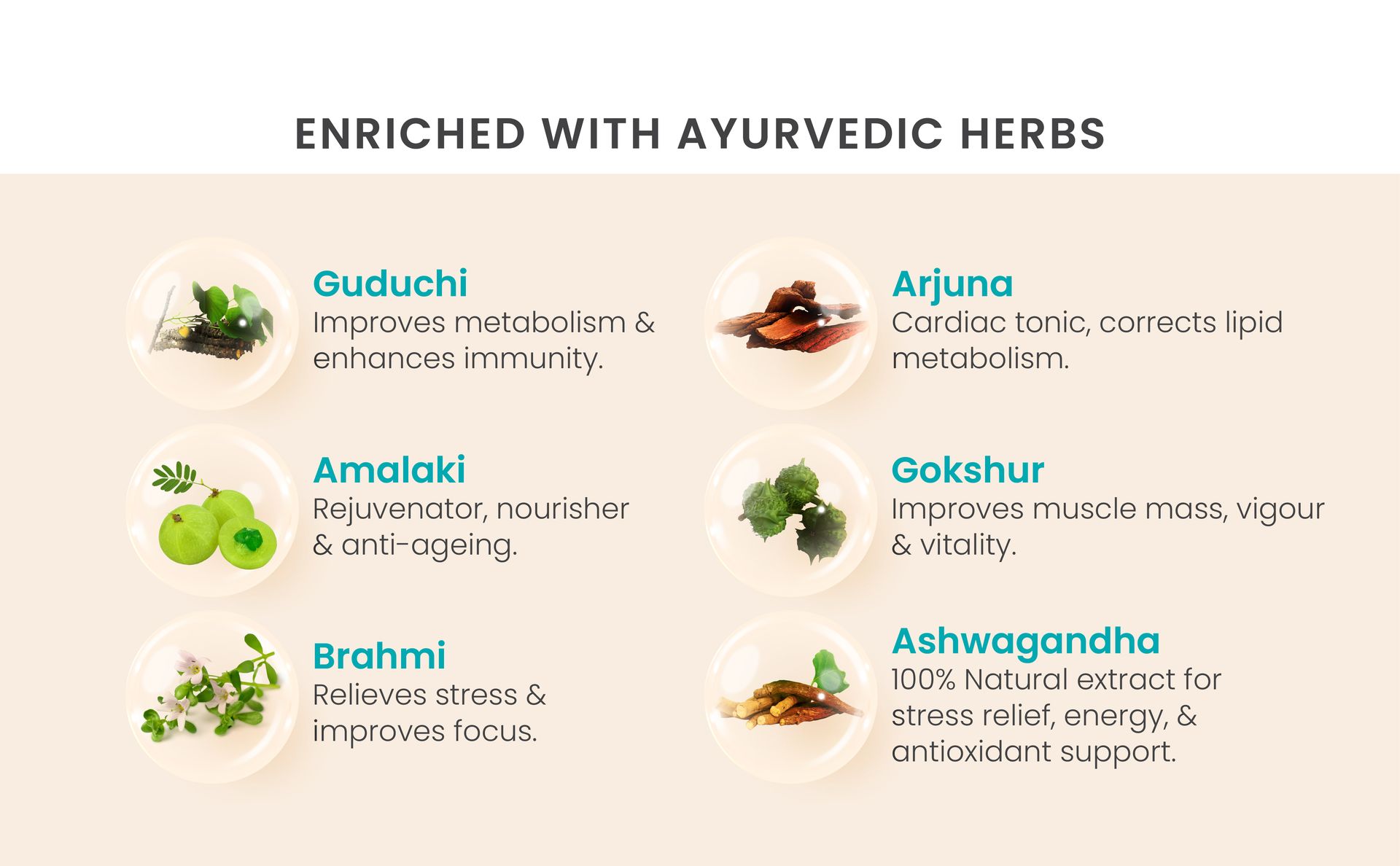 Vedistry Fortyfitt Tablets with Ashwagandha, Amalaki, Arjuna, Brahmi, Guduchi & Gokshur | Ayurvedic Support Boosts Energy, Stamina, and Immunity for Men Above 40 Years | Supports Hormonal Balance, Stress Relief, Heart Health & Metabolism – 60 Tabs - (Pack of 1)