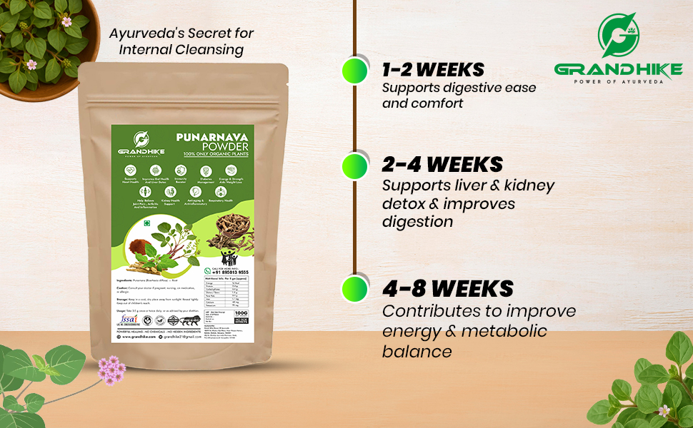 Grandhike Power of Ayurveda Natural Detox Ayurvedic Punarnava Organic Root Powder Churna | Boerhavia Diffusa Root Powder | Urinary Wellness & Kidney Health Support | Ayurvedic Supplement for Heart, Gut, Immunity, Joint Health 100g
