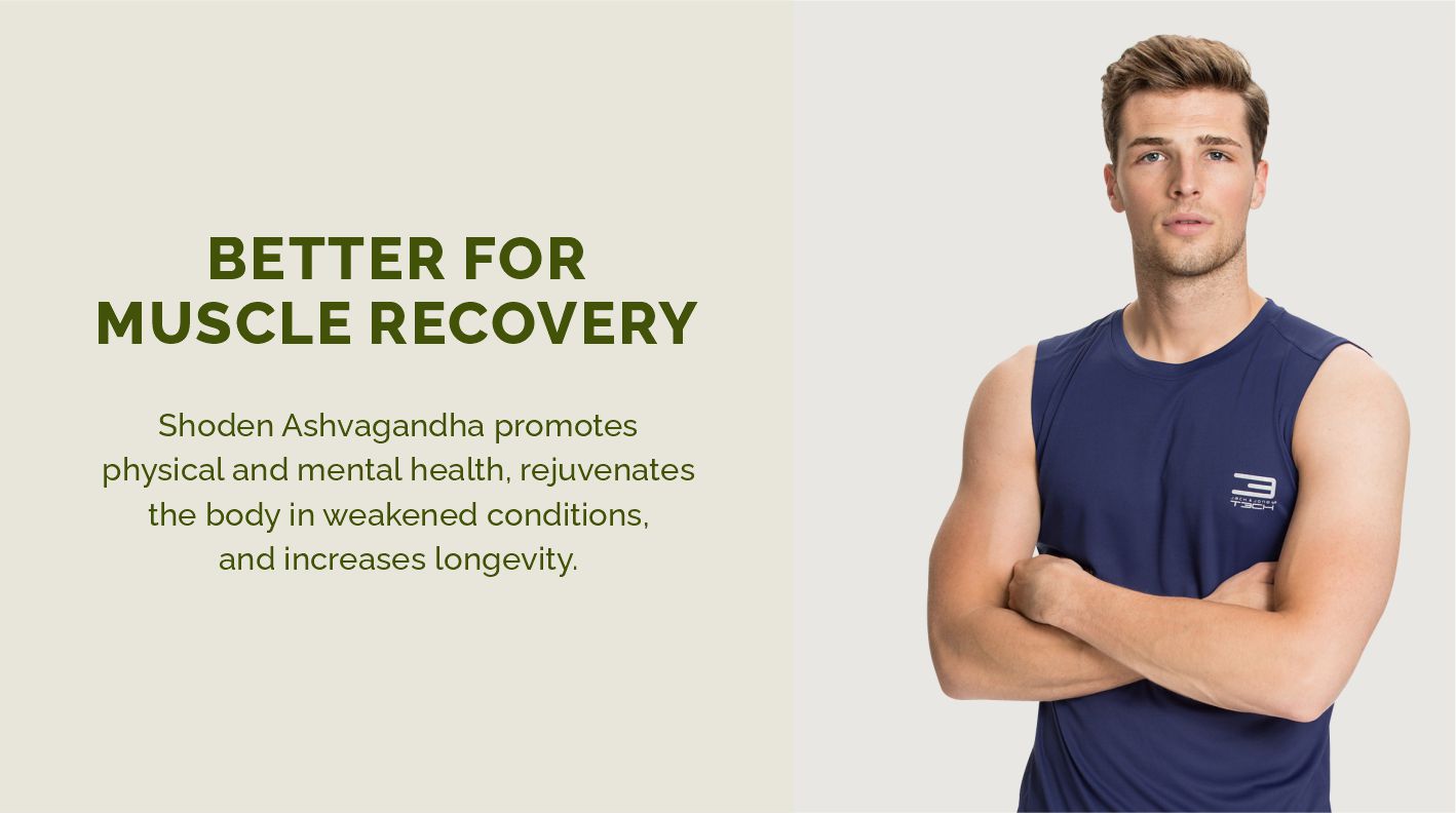 Ashwagandha, 500mg of Shoden® Ashwagandha, Energy and Immunity Booster, Clinically Researched Ingredient 60 Capsules