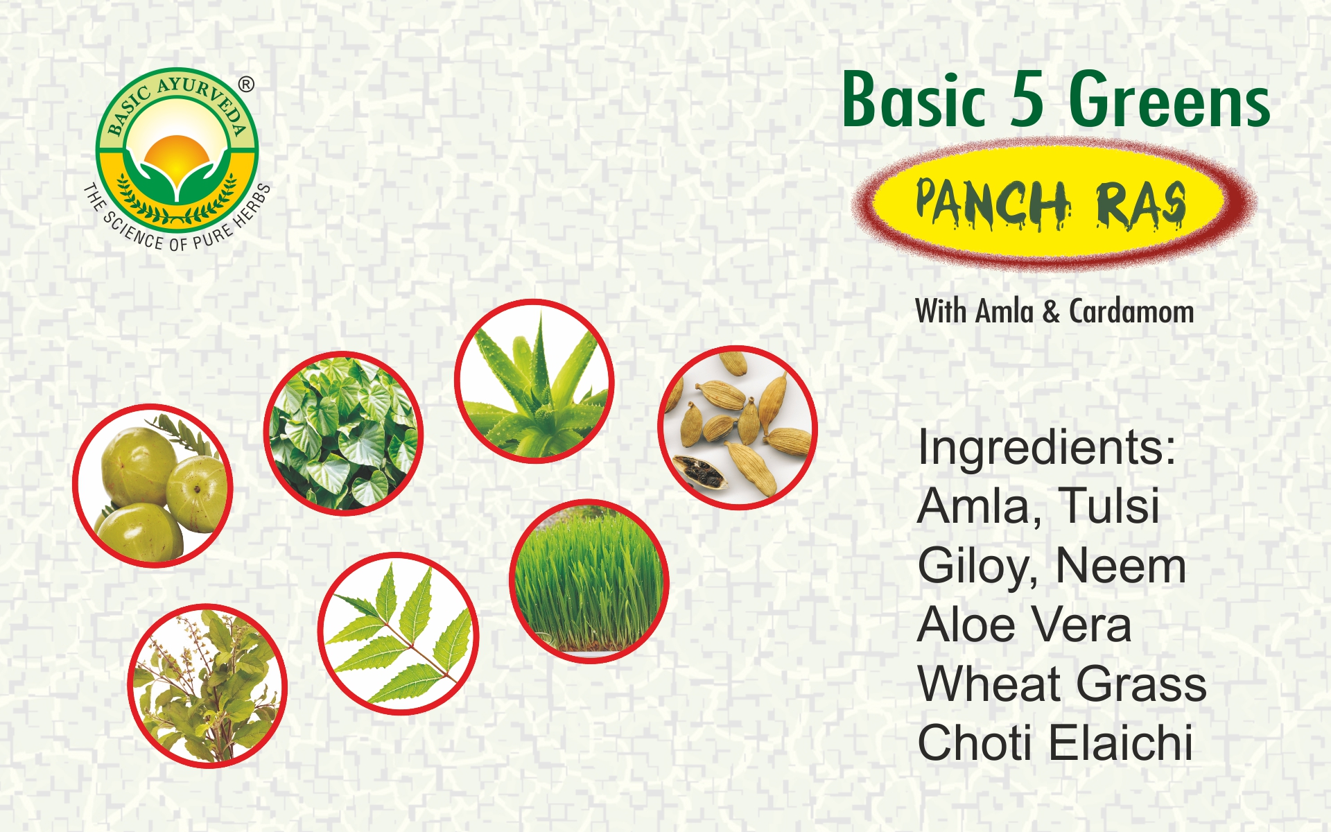 Basic Ayurveda 5 Green Panch Ras Juice 500ml | With Tulsi, Neem, Giloy, Wheatgrass & Aloe Vera | Daily Herbal Wellness