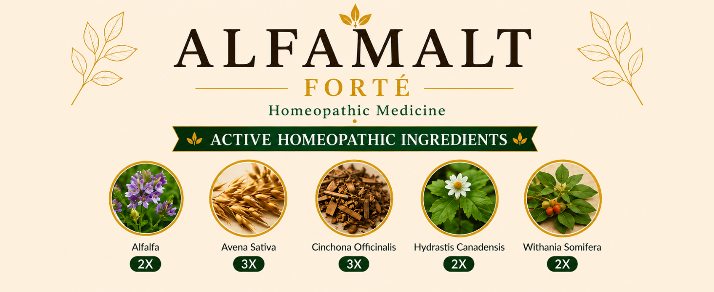 MEDISYNTH Alfamalt Forte 450g (Pack of 1) | Homeopathic Malt-Based Health Tonic for Energy, Immunity & Appetite | Syrup for Daily Wellness & Nutrition | Batch No. 821 | Expiry - Apr 2031