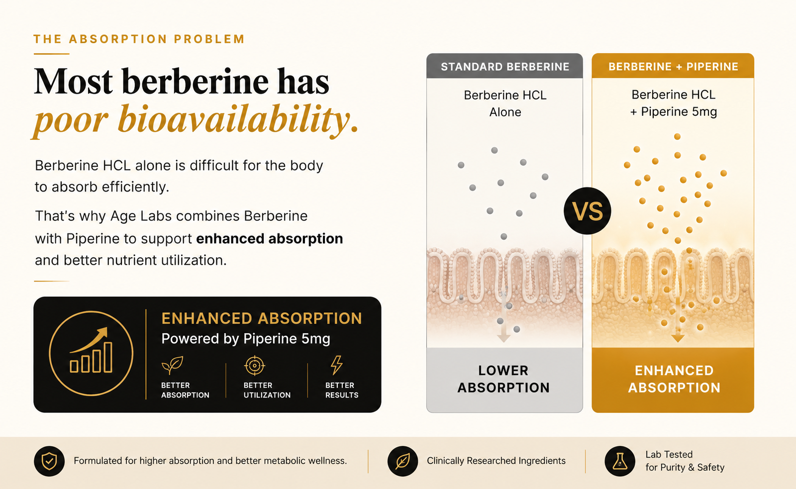 Berberine HCl 500mg | 97% Berberis Aristata Extract with Piperine upto 6X Better Absorption | Supports Blood Sugar, Cholesterol & Metabolism | High Potency Berberine Supplement | 60 Veg Capsules