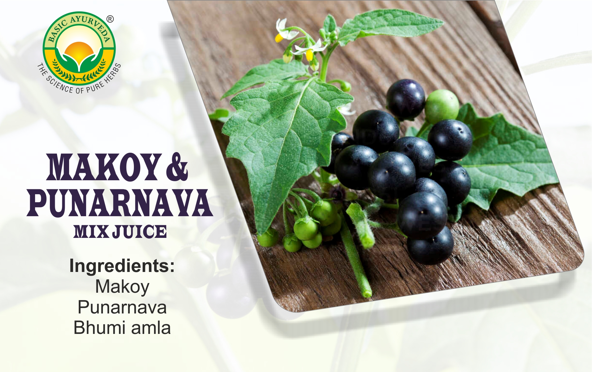 Basic Ayurveda Makoy & Punarnava Mix Juice 450ml | Enriched with Bhumi Amla | Supports Liver & Kidney Detox | Herbal Blend for Daily Wellness