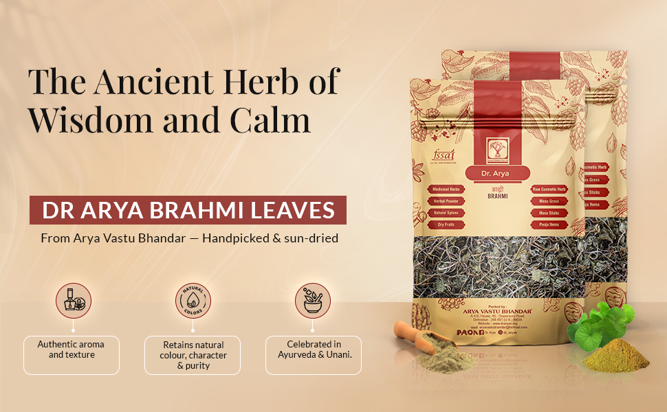 Dr Arya’s Dry Brahmi Leaves 100g | Natural Sun-Dried Bacopa Monnieri | For Calm Herbal Tea, Ayurveda and DIY Use (Pack of 1)
