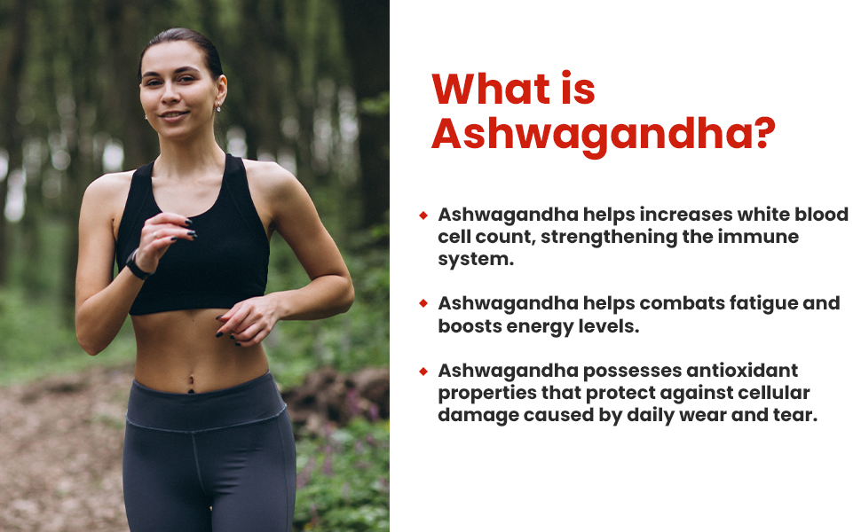 Baidyanath Ayurved Ashwagandha 60 Tablets for General Wellness | Helps Release Stress & Anxiety (Pack of 1)