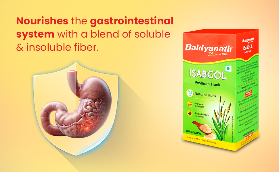 Baidyanath Ayurved Isabgol - Psyllium Husk Powder - 200gm | Healthy Digestive Tract | Rich Source Of Dietary Fibre, Gluten Free | Effectively Relieves Constipation | Supplement For Digestion