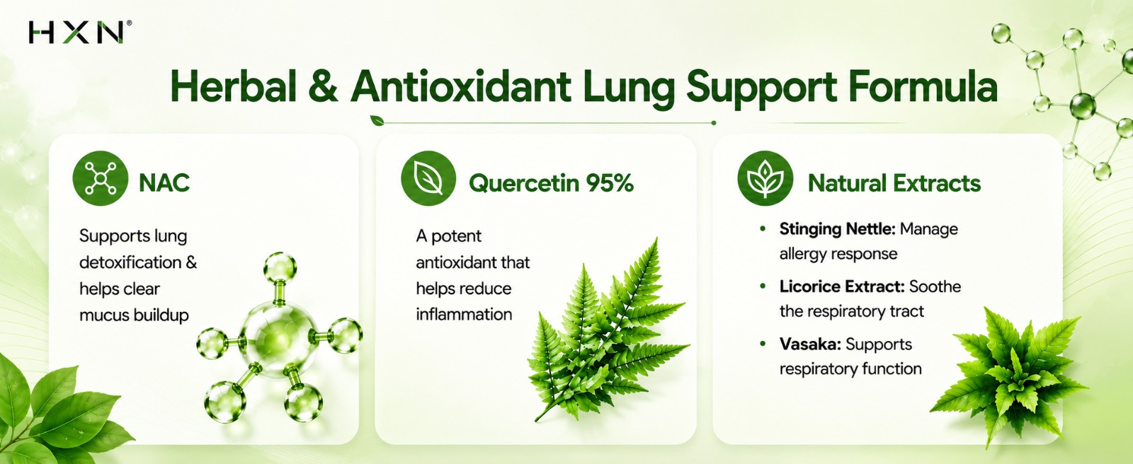 HXN NAC Supplement, N-acetyl-cysteine, Glutathione for lungs Detox, with Vitamin C Tablet, (99% NAC Supplement) Support Immunity, Respiratory Health Supplements 60 Tablets
