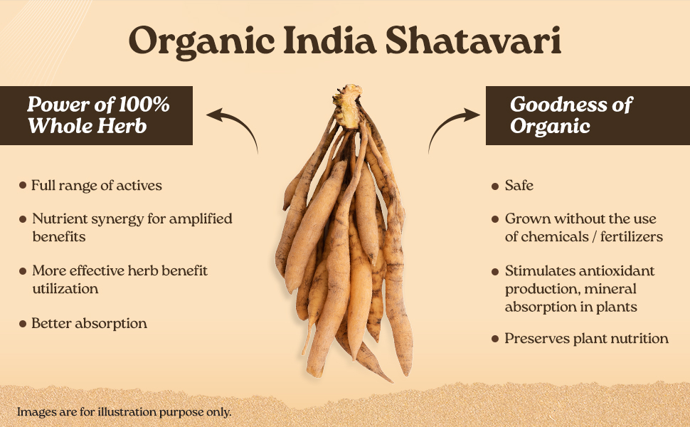 A TATA Product - Organic India Shatavari - 180 Veg Capsules, With Natural Plant Based Estrogens, Boosts Health & Vitality For Women Of All Ages & Restore Hormonal Balance, GMP & NPOP Certified Organic
