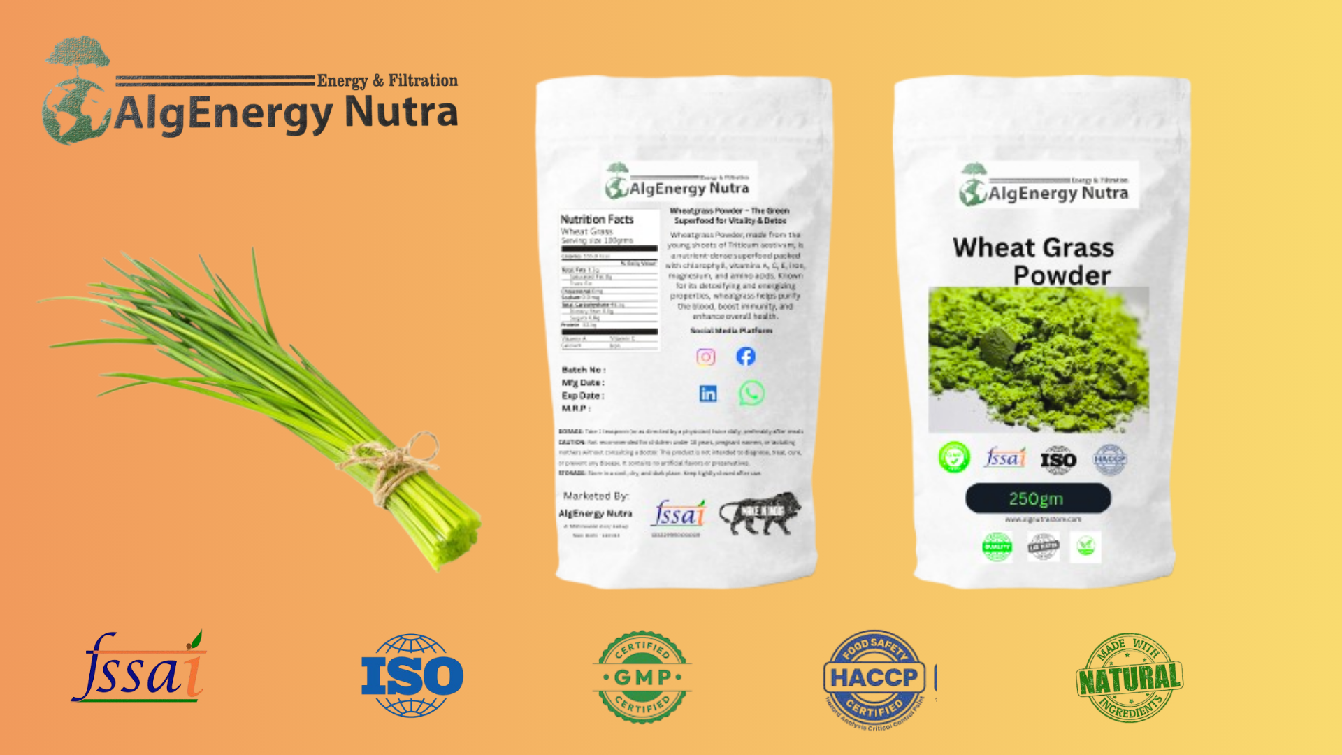 Wheat Grass Powder | Organic Green Superfood for Detox, Immunity & Energy | Rich in Chlorophyll & Antioxidants | Vegan, Gluten-Free | Natural Nutrition Support (1 KG)