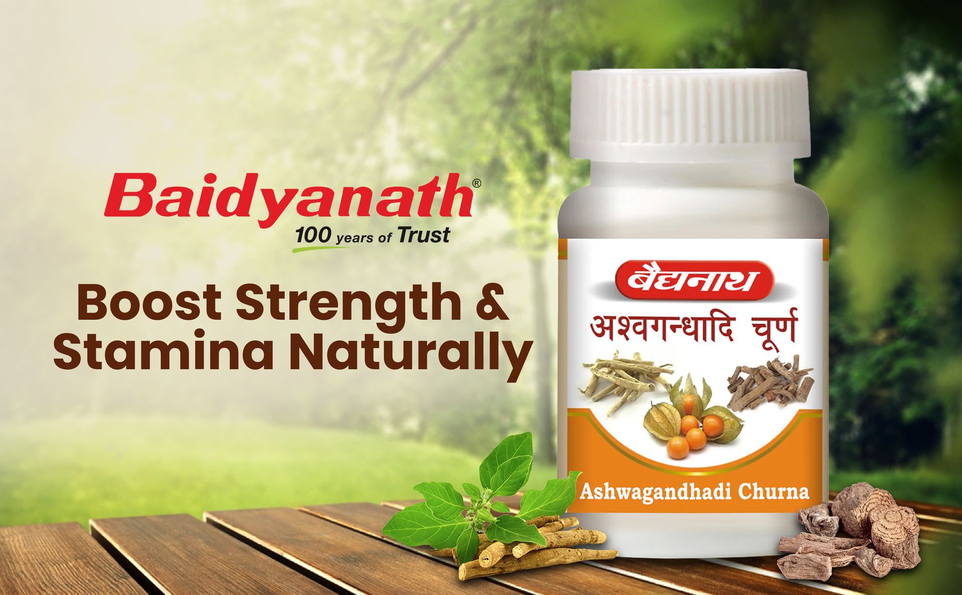 Baidyanath Ashwagandhadi Churna - 120 GM | Helps Boost Strength 100% Natural | Stamina & Energy | Stress Relief | Made with Pure Ayurvedic Ingredients for Anxiety & Stress Relief