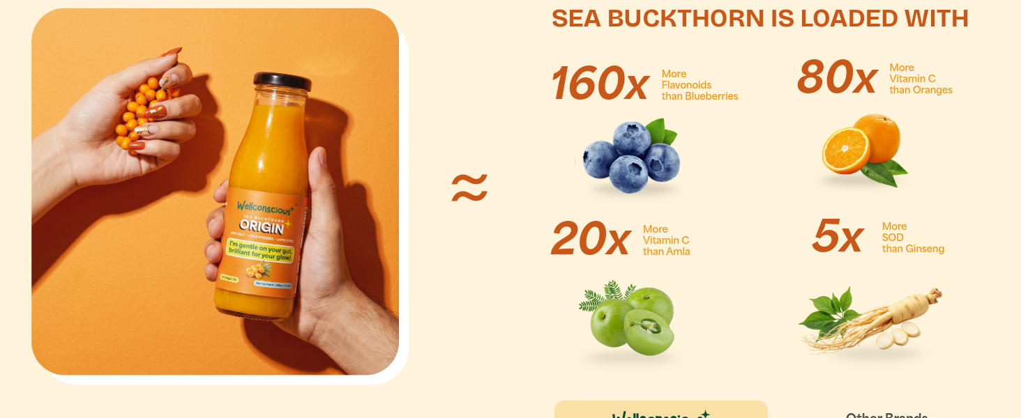 Wellconscious Sea Buckthorn Juice Origin 300ml | 100% Ladakh Berry Pulp | Immunity, Gut & Skin Glow Support | Natural Vitamin C, Omega 7 & 3-6-9 | Vegan, No Citric Acid or Sugar | Makes 50 Glasses