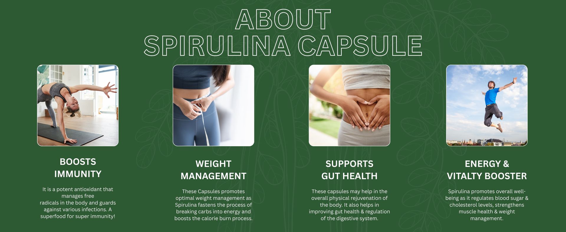 Spirulina Capsules 500mg | 60 Veg Capsules | High Protein, Iron & Antioxidant Superfood | Plant-Based | Gluten Free & Non-GMO Pack of 1